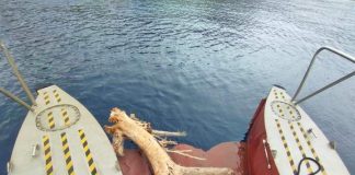 El servicio de limpieza del litoral concluye la temporada 2023 con 27,81 toneladas de residuos retirados de las costas baleares Los restos de madera son residuos comunes encontrados en las aguas del archipiélago