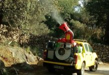 Inicio del tratamiento terrestre para el control de la procesionaria del pino en las zonas de uso público de Baleares procesionaria del pino