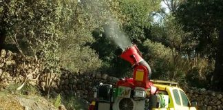 Inicio del tratamiento terrestre para el control de la procesionaria del pino en las zonas de uso público de Baleares procesionaria del pino