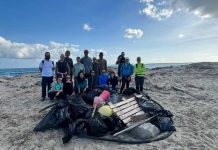 La jornada de limpieza de ses Illetes se salda con unos 100 kilos de residuos retirados Voluntarios en la limpieza de ses Illetes