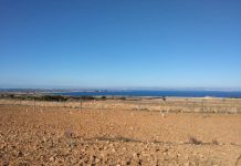 Córdoba presenta dos enmiendas en el Parlament balear para que se tengan en cuenta las singularidades de las islas menores en relación al sector agrario