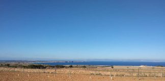 Preocupación en el sector primario de Formentera por la falta de lluvias