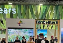 Excelente acogida para el ball pagès en Fitur Fitur 2024