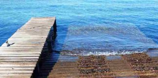 La rampa de acceso al mar del s’Estany des Peix ya está plenamente operativa Rampa Estany des Peix
