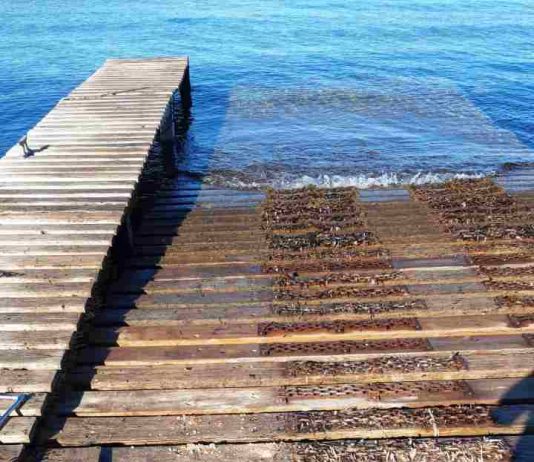 La rampa de acceso al mar del s’Estany des Peix ya está plenamente operativa Rampa Estany des Peix