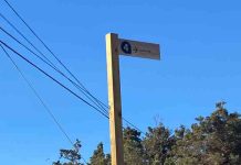 Formentera inicia los trabajos de reparación y mantenimiento de la señalización de las rutas verdes de la isla Señalización rutas verdes