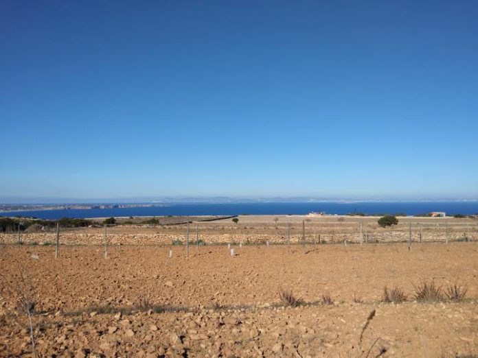 Sequía actual en Formentera