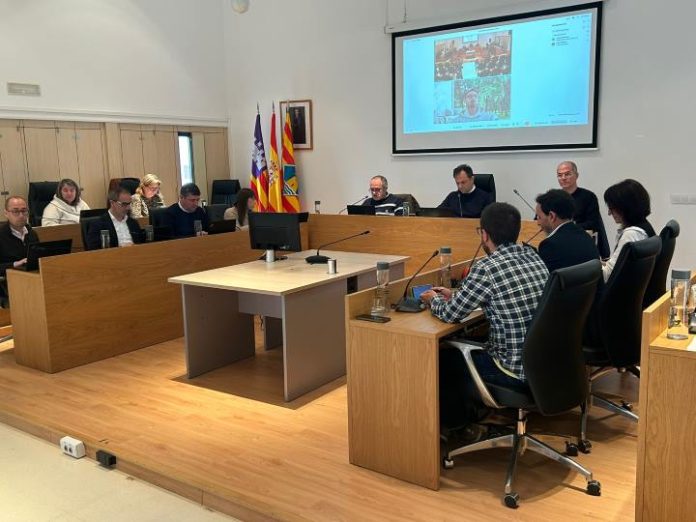 pleno marzo 2024
