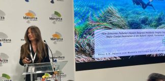 El efecto de las cremas solares en las praderas de posidonia