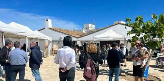Formentera reunirá cerca de 170 ofertas de trabajo en la V Feria de Empleo y Emprendimiento el 15 de abril Fira d'Ocupació i Emprenedoria 2024