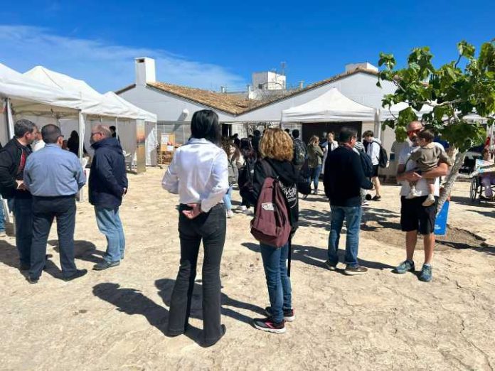 Fira d'Ocupació i Emprenedoria 2024