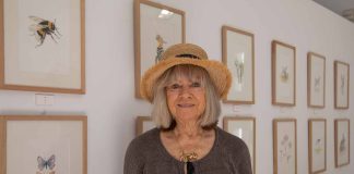 Suzzane Carpenter expone sus acuarelas sobre la flora y fauna de Formentera en el Centro «Gabrielet»