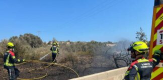 Incendio forestal en la zona de ses Eufabietes por probable cortocircuito en un cable de alta tensión Bomberos de Formentera en las tareas de extinción