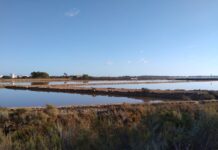 Aportacions a la conservació i posada en valor del Parc Natural de ses Salines d’Eivissa i Formentera Parc natural ses Salines, Formentera