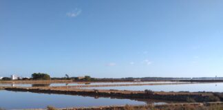 El Consell de Formentera aprueba inicialmente el Plan Especial de Protección del Bien de Interés Cultural de ses Salines Parc natural ses Salines, Formentera