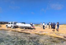 El Consell Insular de Formentera presenta su primera embarcación para dar servicio al Estany des Peix barca control Estany des Peix