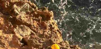 Bomberos de Formentera rescatan a un perro en un acantilado Bomberos rescate perro
