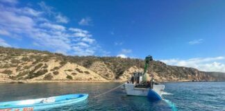 El Consell procede a la retirada de las pateras abandonadas en el litoral de la isla tras la negativa del gobierno central a hacerse cargo de ellas Patera retirada del litoral de Formentera