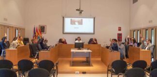 El pleno pide a la APB que paralice la licitación del puerto y que el proyecto se presente ante el Consell d’Entitats Pleno diciembre 2024
