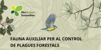 El Govern edita una guía divulgativa de pájaros y murciélagos para concienciar de la importancia que tienen estas especies para el control de plagas forestales