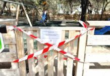 Cerrado hasta nuevo aviso el parque infantil de es Pujols a causa de la procesionaria Parque infantil es Pujols cerrado por procesionaria