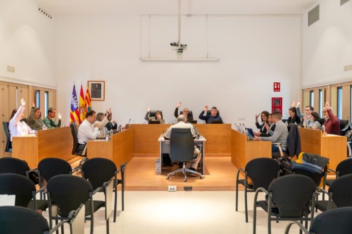 Pleno extraordinario febrero 2025