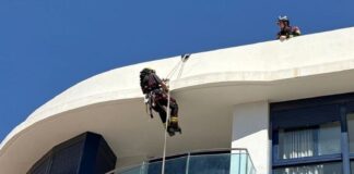 Rescat d’una gavina