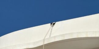 Bomberos rescatan a una gaviota atrapada en la barandilla de un balcón en es Pujols Bomberos de Formentera