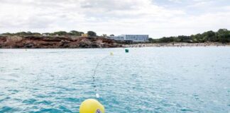 Medio Ambiente inicia la instalación de balizamiento en las playas para mejorar la seguridad y proteger el entorno Balizamiento en Cala Saona