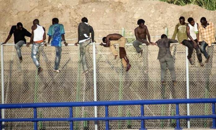 Migrants enfilats sobre una tanca Migrants enfilats sobre una tanca