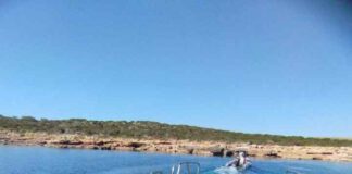 El servicio de limpieza recoge más de 7,8 toneladas de residuos en el litoral balear durante el mes de mayo Limpieza litoral mayo 2025