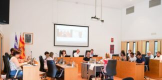 El Pleno del Consell de Formentera exige a Costas actuaciones urgentes para garantizar el mantenimiento del litoral Pleno ordinario junio 2025