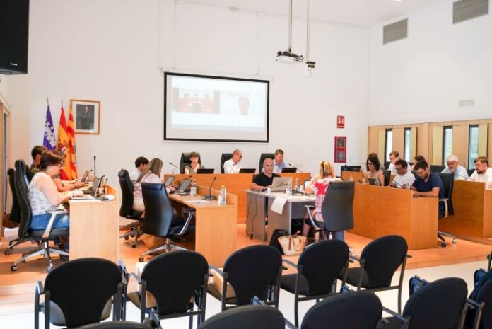 Pleno ordinario junio 2025