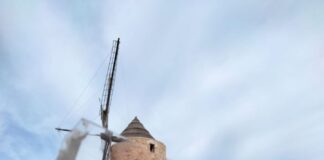 El V Concurso de Foto Denuncia de la OCBF ya tiene ganadores V Concurso Foto denuncia OCB