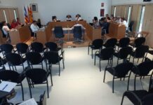 El ple de la marmota