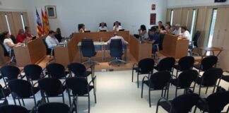 El ple de la marmota