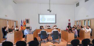 El pleno del Consell aprueba continuar las inspecciones a las concesiones de playa para velar por el cumplimiento de la normativa vigente pleno julio 2025