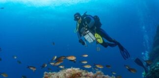 Consell y Govern coordinan garantías para una mejor protección marina