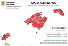 El Govern pide máxima prudencia a la población frente al peligro extremo de incendios forestales este fin de semana