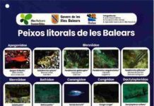 El Govern y la Federación Balear de Actividades Subacuáticas editan una guía para identificar las principales especies de peces litorales de las Islas Baleares