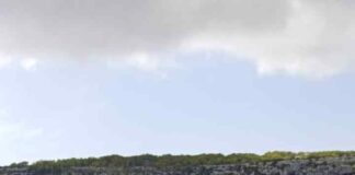 El servicio de limpieza retira casi 8 toneladas de residuos del litoral balear durante septiembre Limpieza del litoral