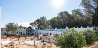 Labores de mantenimiento y embellecimiento en el Cementerio Municipal para la festividad de Todos los Santos Cementerio Municipal en Sant Francesc