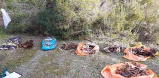 Formentera traslada al SEPRONA el hallazgo de restos óseos de animales en una fosa en la zona de Es Cap