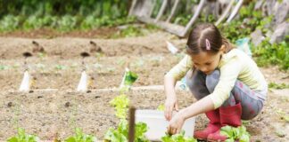 Abierta la inscripción al Taller de agricultura para niños