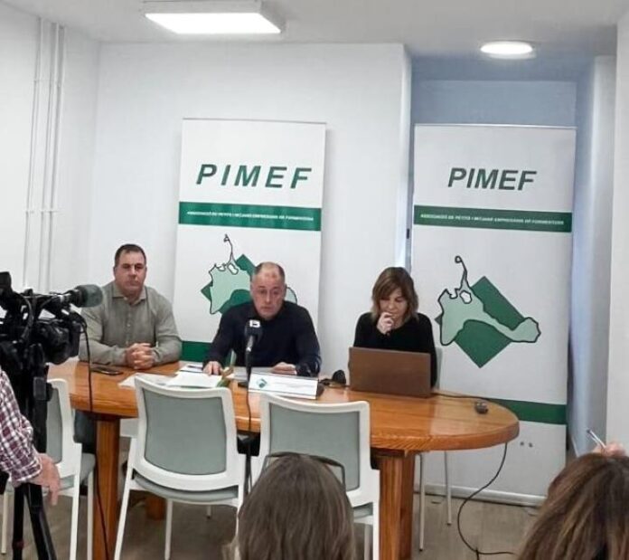 Datos encuesta 2025 PIMEF
