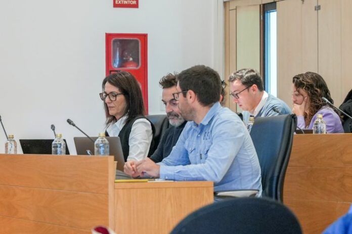 Representantes socialistas en el pleno del Consell