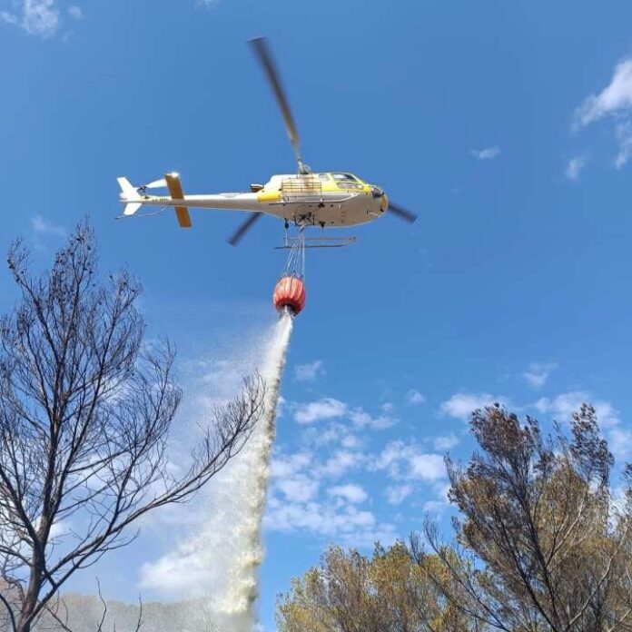 Incendio forestal