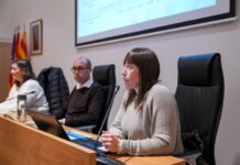 El Consell de Formentera evalúa el impacto de Formentera.eco y presenta una propuesta plurianual de regulación de vehículos hasta 2029 Consell d'Entitats Formentera eco