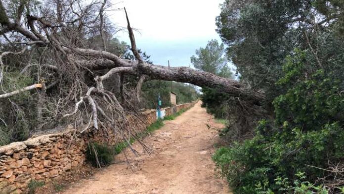Temporal viento