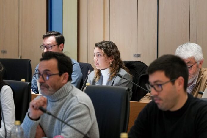 pleno enero 2026
